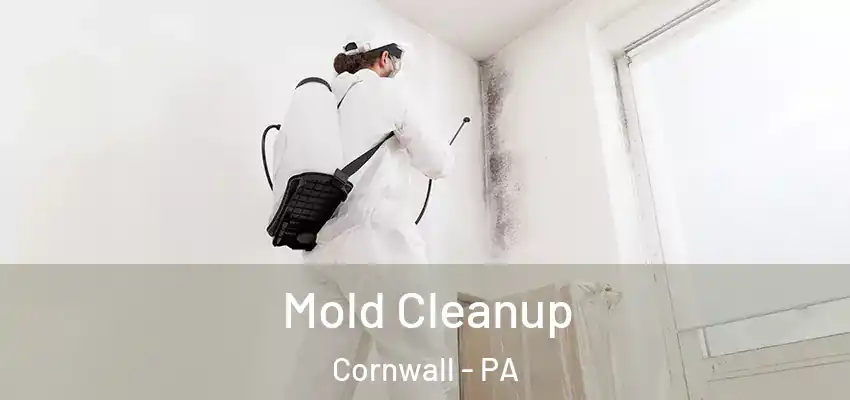  Mold Cleanup Cornwall - PA
