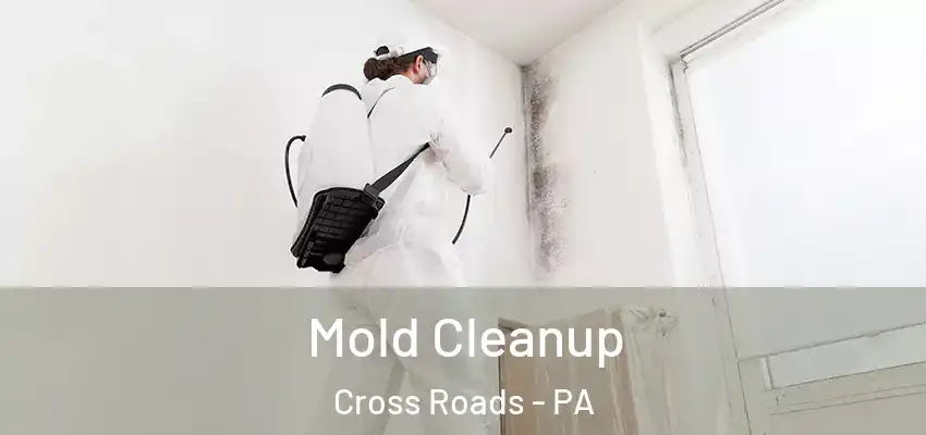  Mold Cleanup Cross Roads - PA