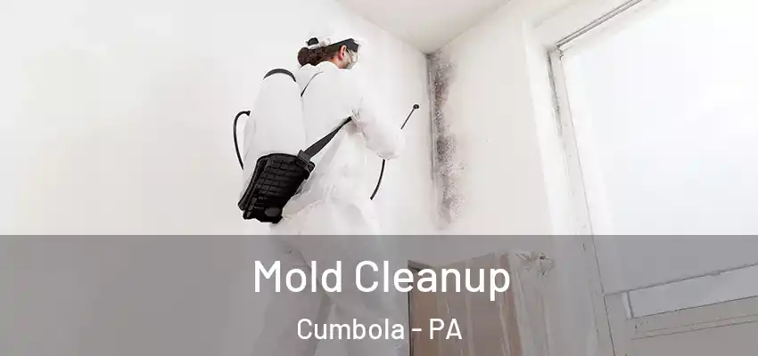 Mold Cleanup Cumbola - PA