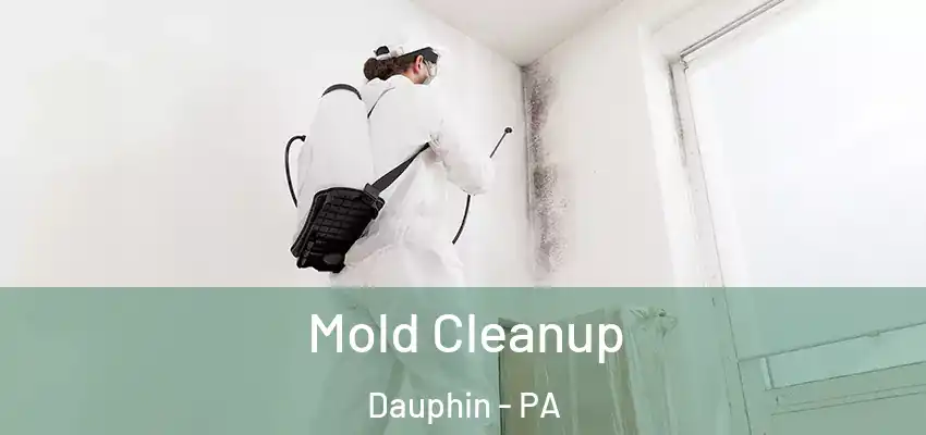  Mold Cleanup Dauphin - PA