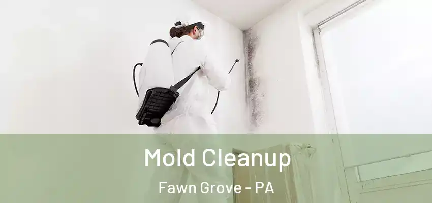 Mold Cleanup Fawn Grove - PA