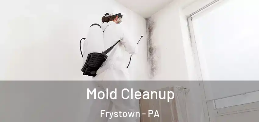  Mold Cleanup Frystown - PA