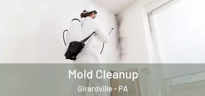 Mold Cleanup Girardville - PA