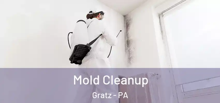  Mold Cleanup Gratz - PA