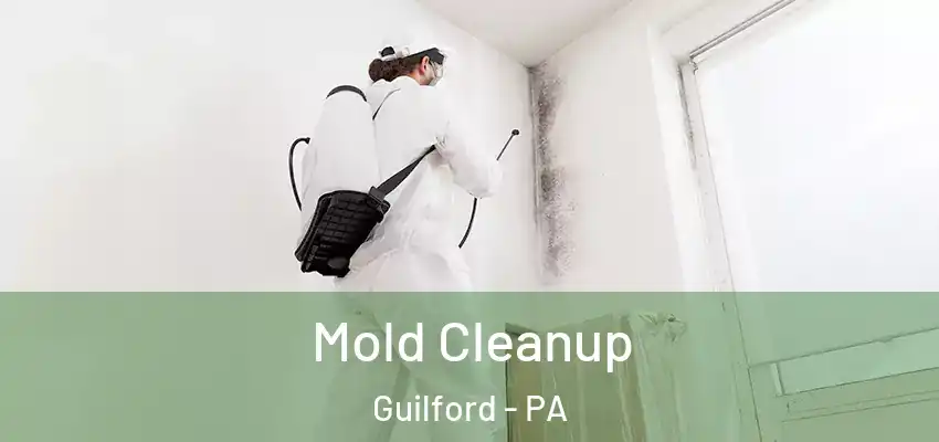  Mold Cleanup Guilford - PA
