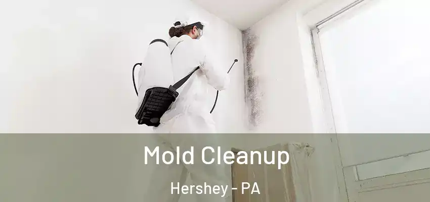 Mold Cleanup Hershey - PA