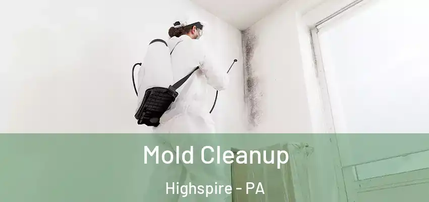  Mold Cleanup Highspire - PA