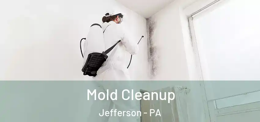 Mold Cleanup Jefferson - PA