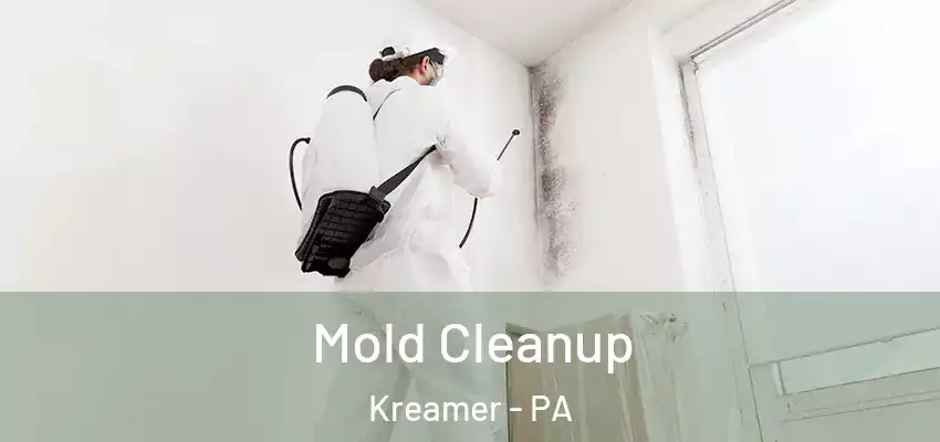Mold Cleanup Kreamer - PA