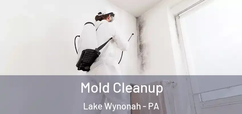 Mold Cleanup Lake Wynonah - PA