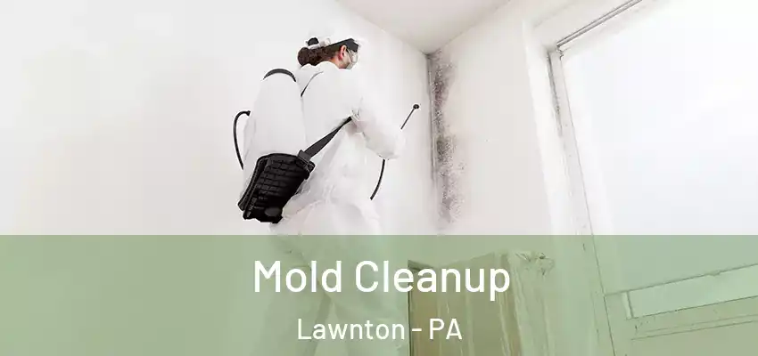  Mold Cleanup Lawnton - PA