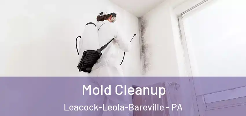  Mold Cleanup Leacock-Leola-Bareville - PA
