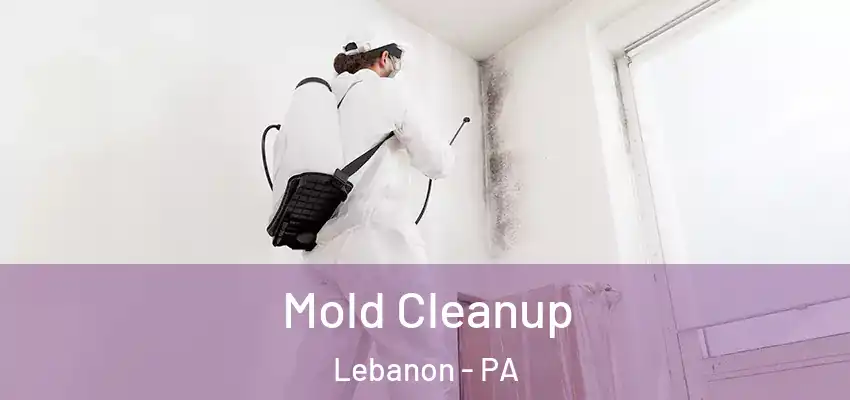Mold Cleanup Lebanon - PA