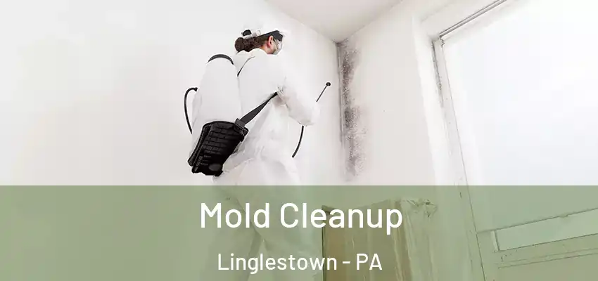 Mold Cleanup Linglestown - PA