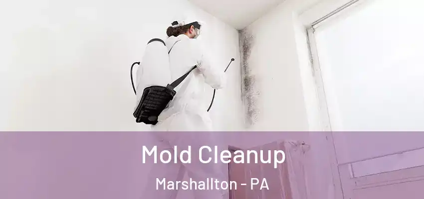  Mold Cleanup Marshallton - PA