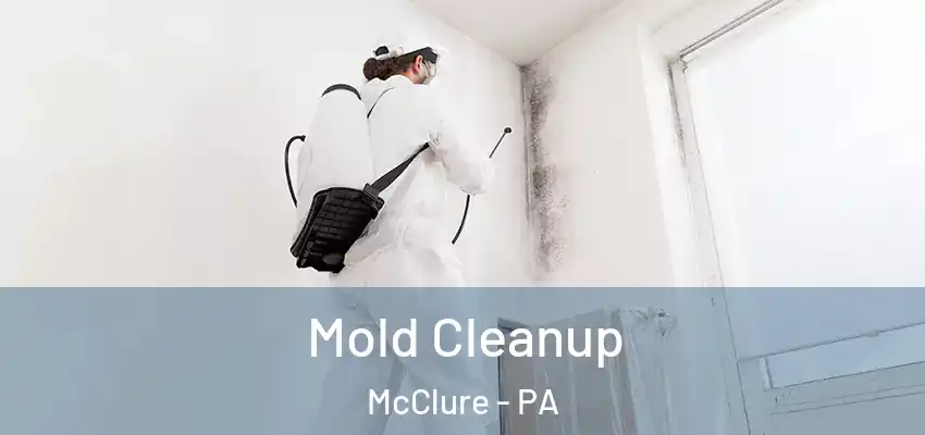 Mold Cleanup McClure - PA