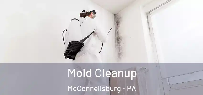  Mold Cleanup McConnellsburg - PA