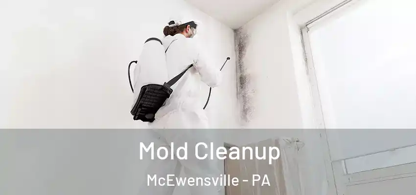  Mold Cleanup McEwensville - PA