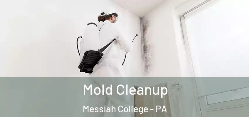  Mold Cleanup Messiah College - PA