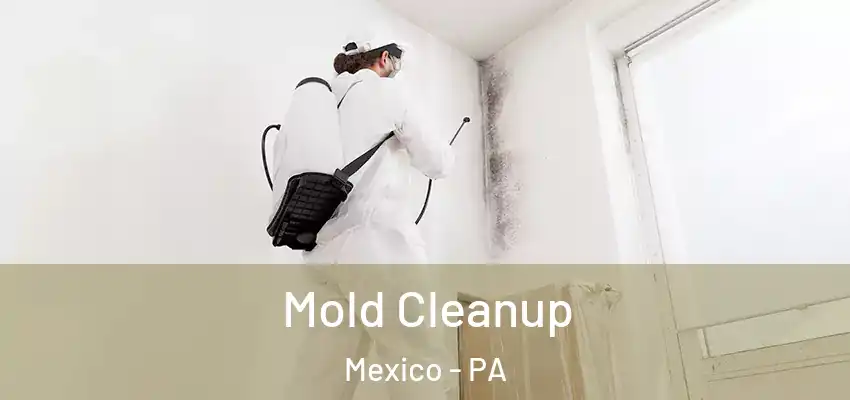 Mold Cleanup Mexico - PA