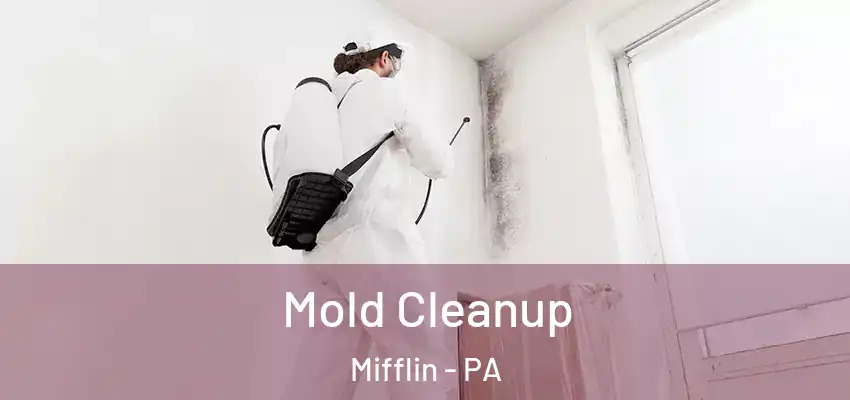 Mold Cleanup Mifflin - PA