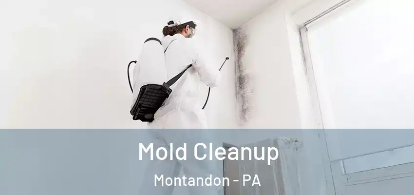  Mold Cleanup Montandon - PA