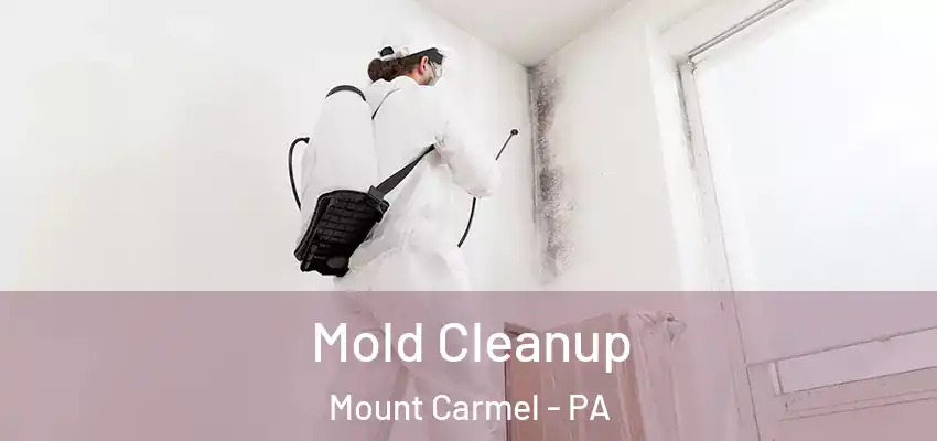 Mold Cleanup Mount Carmel - PA