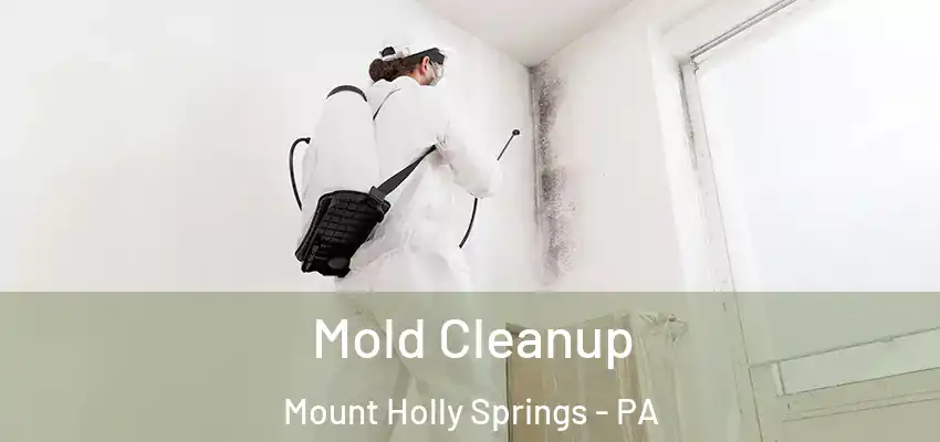 Mold Cleanup Mount Holly Springs - PA