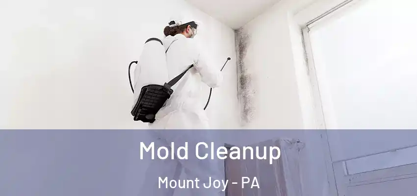 Mold Cleanup Mount Joy - PA