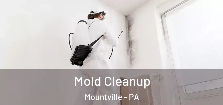  Mold Cleanup Mountville - PA