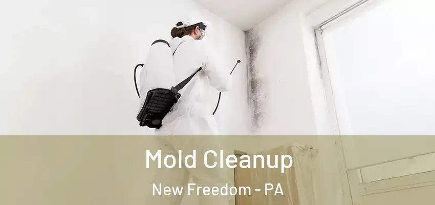 Mold Cleanup New Freedom - PA