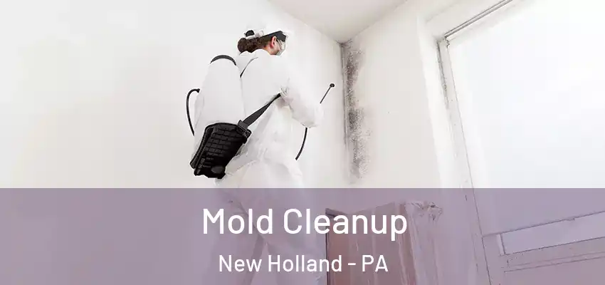  Mold Cleanup New Holland - PA