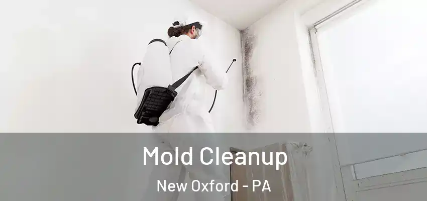  Mold Cleanup New Oxford - PA