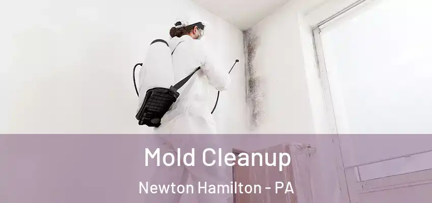  Mold Cleanup Newton Hamilton - PA