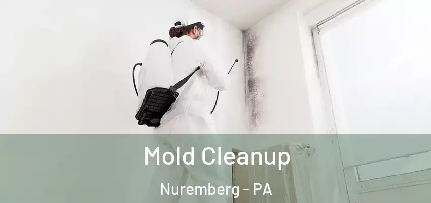 Mold Cleanup Nuremberg - PA