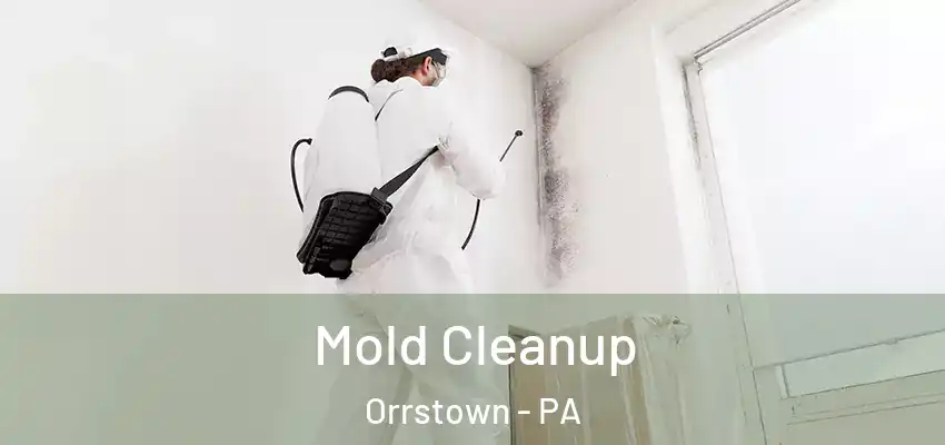  Mold Cleanup Orrstown - PA