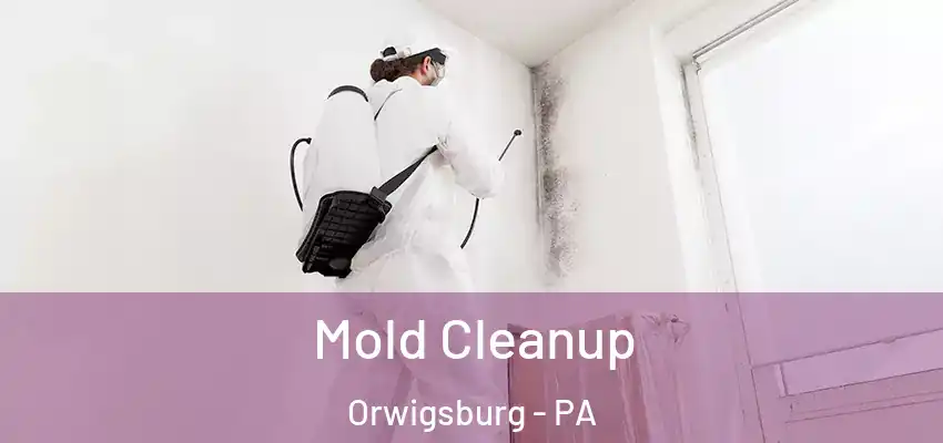  Mold Cleanup Orwigsburg - PA