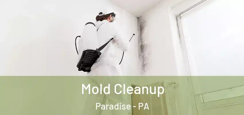  Mold Cleanup Paradise - PA