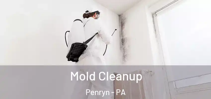 Mold Cleanup Penryn - PA