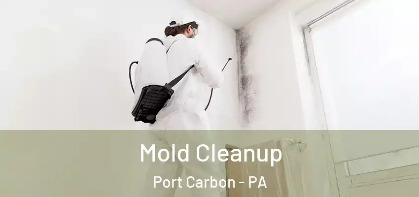  Mold Cleanup Port Carbon - PA