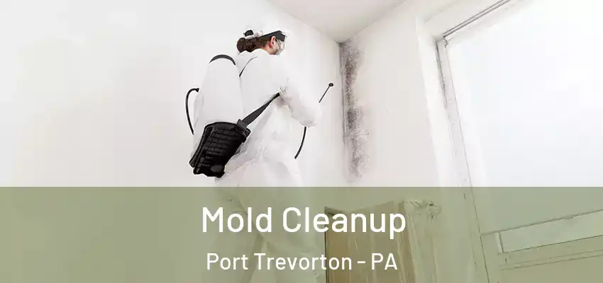 Mold Cleanup Port Trevorton - PA