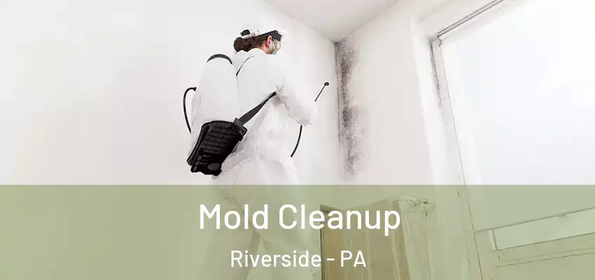  Mold Cleanup Riverside - PA