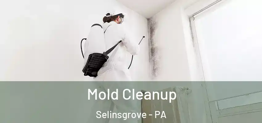 Mold Cleanup Selinsgrove - PA
