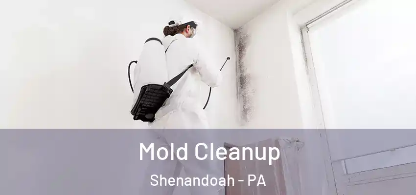 Mold Cleanup Shenandoah - PA