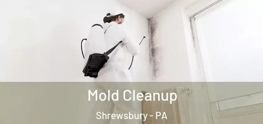  Mold Cleanup Shrewsbury - PA