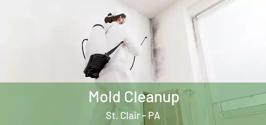  Mold Cleanup St. Clair - PA