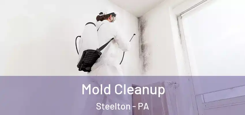  Mold Cleanup Steelton - PA