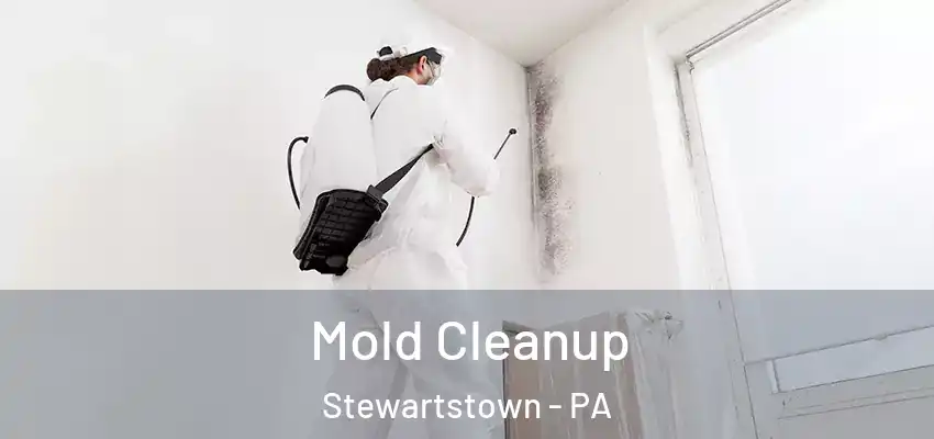 Mold Cleanup Stewartstown - PA