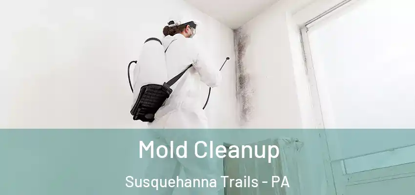Mold Cleanup Susquehanna Trails - PA