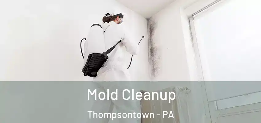  Mold Cleanup Thompsontown - PA